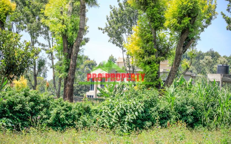 Modern 50 By 100 Ft Residential Plots For Sale In Ondiri Downs – Gated Community Living In Kikuyu