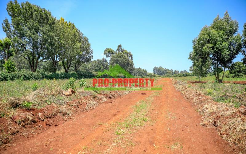 Modern 50 By 100 Ft Residential Plots For Sale In Ondiri Downs – Gated Community Living In Kikuyu