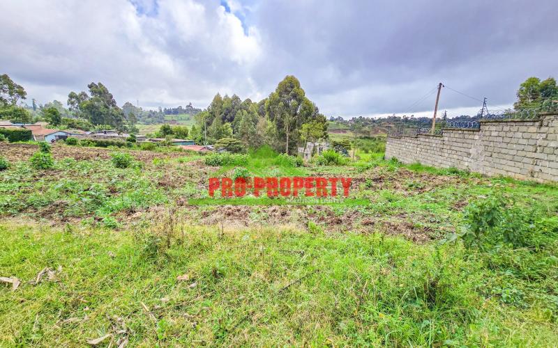 Prime 50 X 100 Ft Mixed-use Plots For Sale In Kikuyu - Muthure, Cura – Ideal Investment!