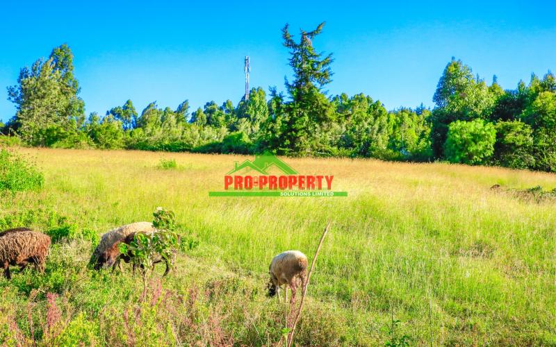 Spacious 100x100 Ft Residential Plot For Sale In Lusigetti, Kikuyu – Ksh. 5.9m Negotiable