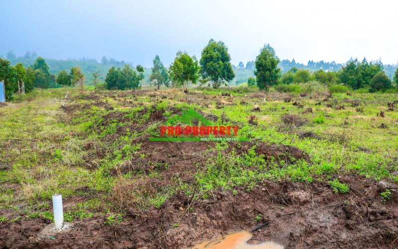 Prime 50 By 100 Ft Residential Plots For Sale In Kikuyu, Nachu