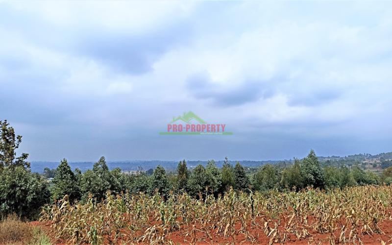 Beautiful Residential Plots For Sale In Kikuyu, Rose Gate.
