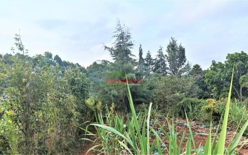 Residential 50 By 100ft For Sale In Kamangu, Migumo-ini