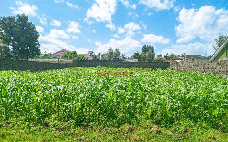 1/4 Acre Residential Plot For Sale In Olive Inn Estate, Nakuru, Kiamunyi.