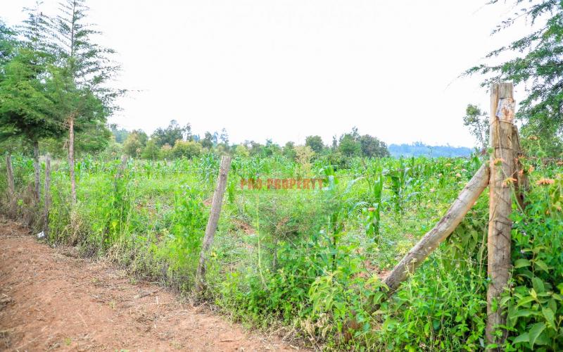 Prime Residential Plot For Sale In Kikuyu, Kamangu.