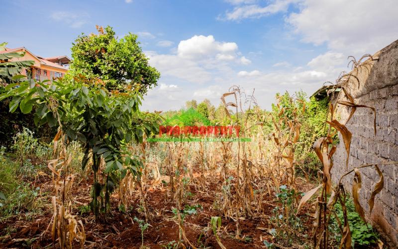 Prime Commercial 50 By 100fts Plot For Sale In Kikuyu, Thogoto