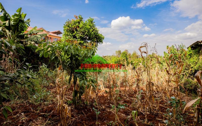 Prime Commercial 50 By 100fts Plot For Sale In Kikuyu, Thogoto