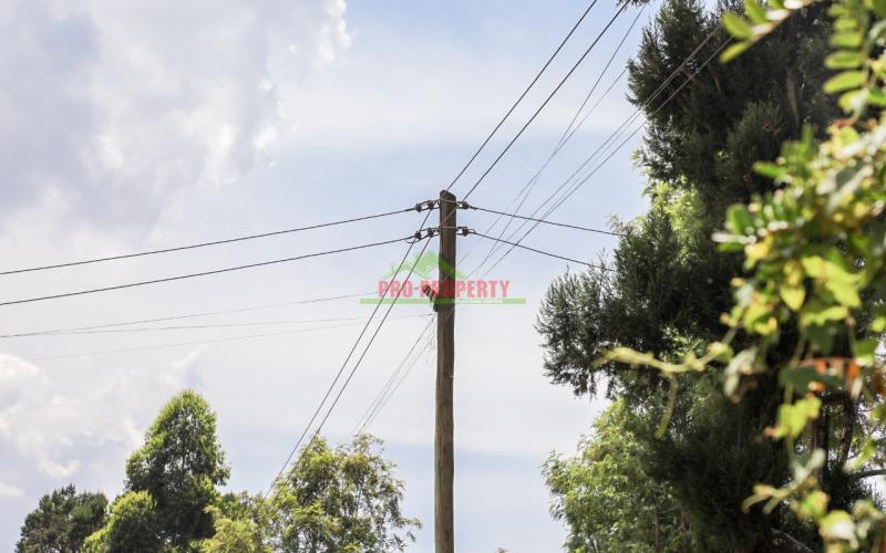 Prime Residential Plot For Sale In Kikuyu, Thamanda