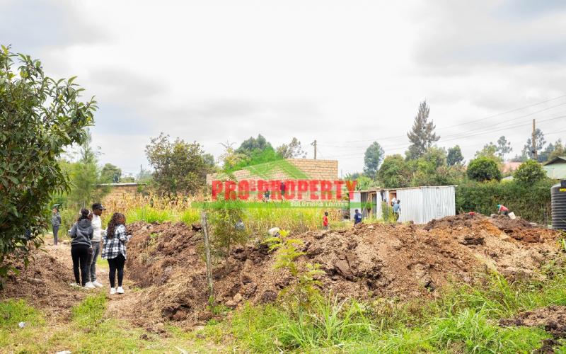 Prime 50 By 100ft Residential Plots For Sale In Kikuyu, Mai-ii-hii