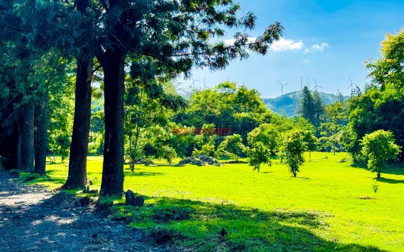 Prime 1/4 Acre Plots For Sale In Ngong (tulivu Estate)