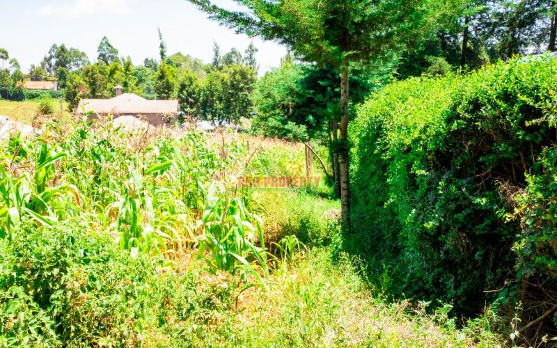 Prime Residential Plot For Sale In Kikuyu, Kamangu.