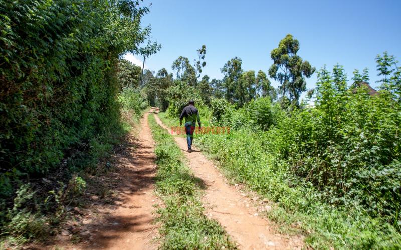 Prime Residential Plots For Sale In Kikuyu, Gikambura - Jambu Tv.