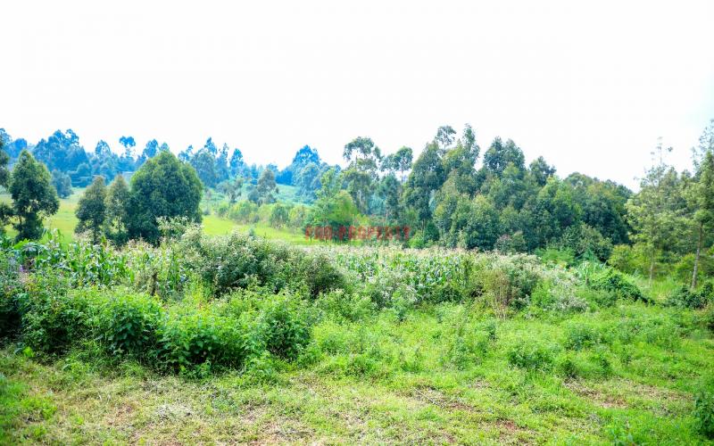 Prime Residential Plot For Sale In Kikuyu, Ondiri.