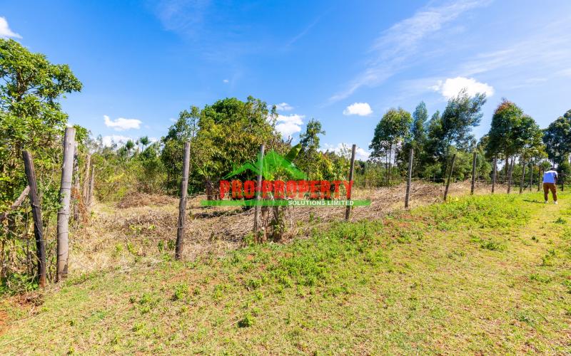 Prime Residential Plot For Sale In Kikuyu, Migumoini