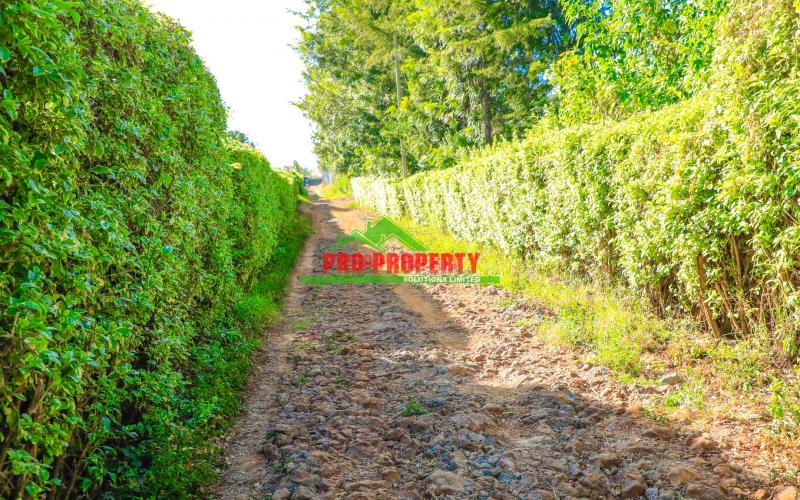 Prime Residential 100 By 100 Fts Plot For Sale In A Gated Community – Lusigetti, Kikuyu