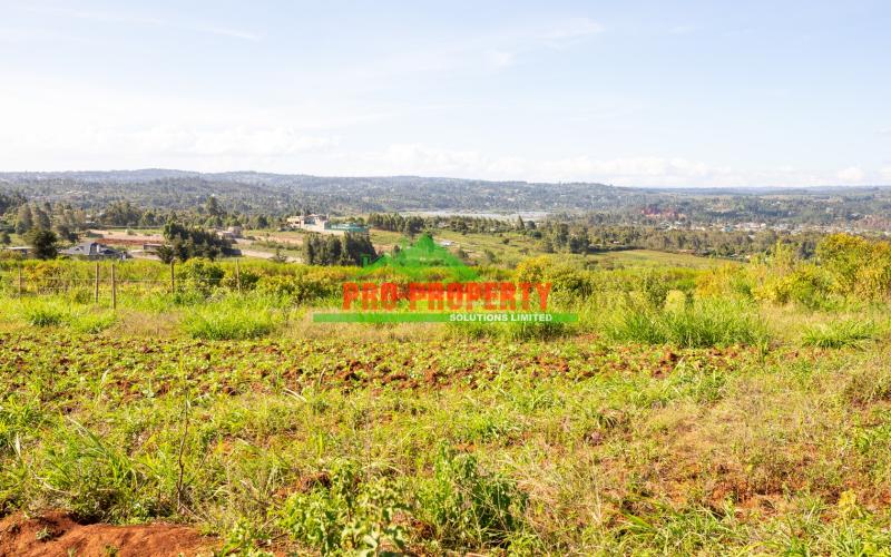 Prime 50×100 Residential Plots For Sale In Gikambura – Jambu Tv