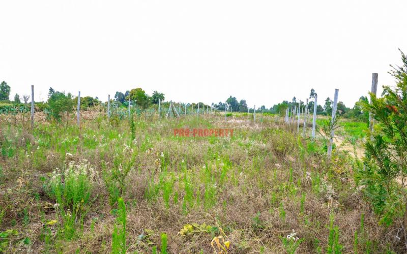 Prime Residential Plot For Sale In Kikuyu, Kamangu