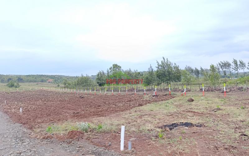 Hills View Estate Phase 4 - Kikuyu, Kamangu (nachu Area)