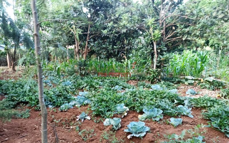 Residential 50 By 100ft For Sale In Kamangu, Migumo-ini