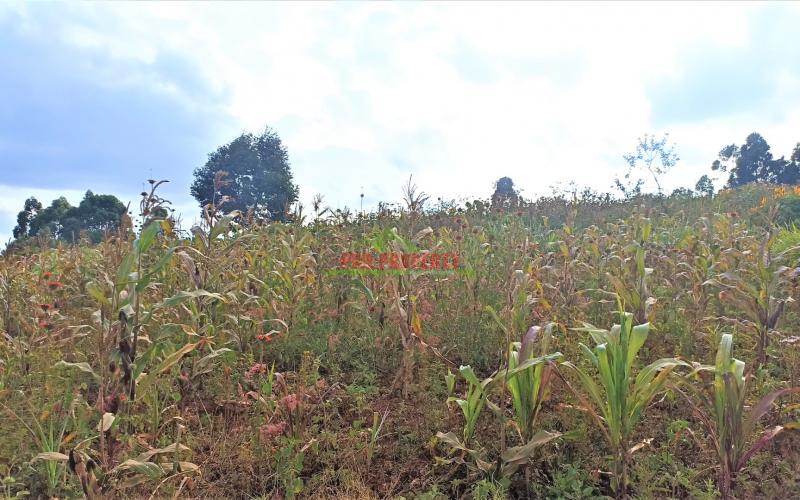 Scenic Residential Plot For Sale In Kikuyu, Kamangu.