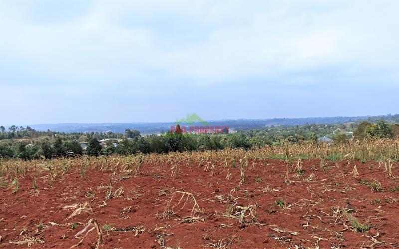 Beautiful Residential Plots For Sale In Kikuyu, Rose Gate.
