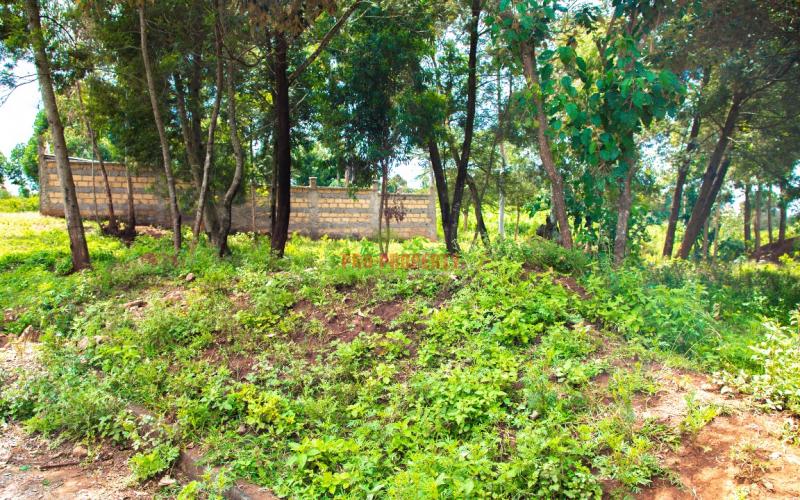 Prime Residential Plot For Sale In Kikuyu, Lusigetti