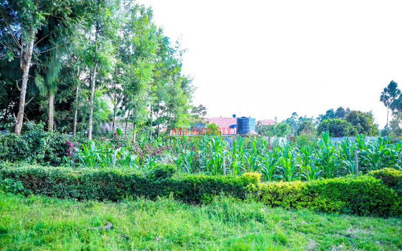 4 Bedroom Master Ensuite Bungalow In Serene Kikuyu, Gikambura (mai-a-ihii).