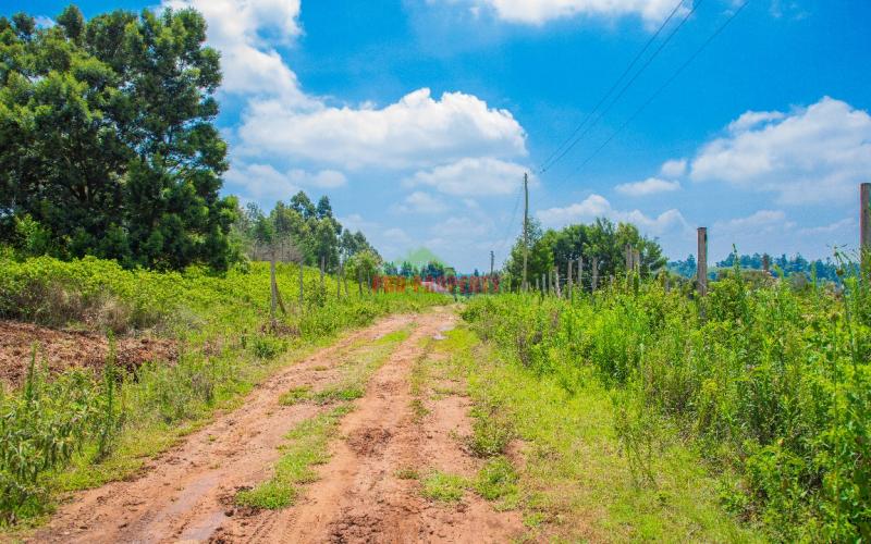 Prime Residential Plot For Sale In Kikuyu, Lusigetti