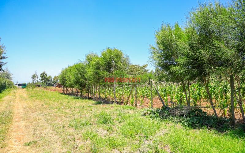 Prime Residential Plots For Sale In Kikuyu, Kamangu