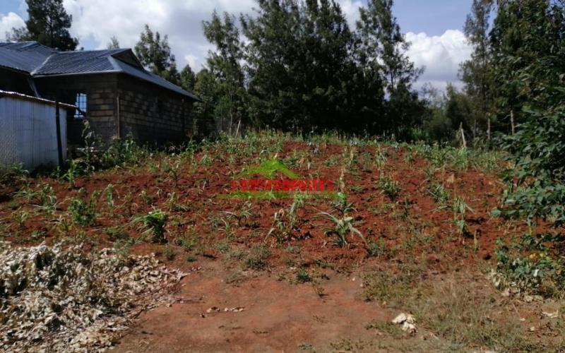 Prime Plot For Sale In Kikuyu, Kamangu.