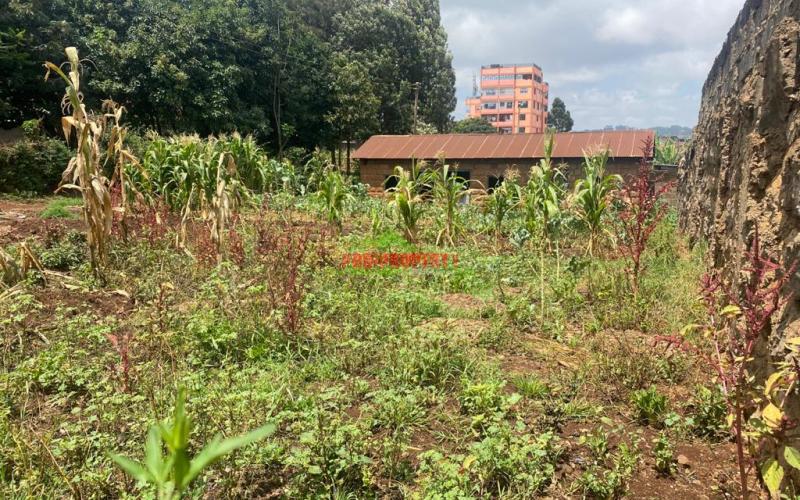 Commercial Plot For Sale In Kinoo
