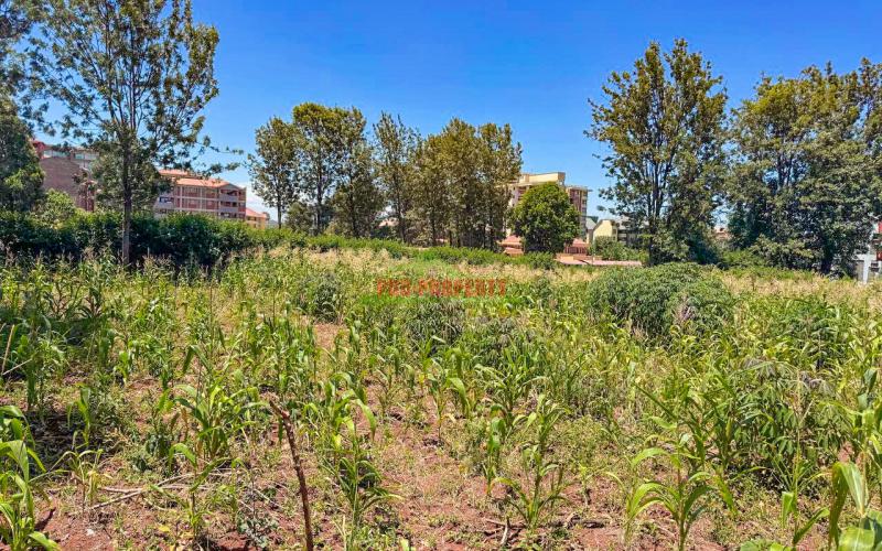 Commercial 3/4 Acre Plot For Sale In Thindigua, Kiambu