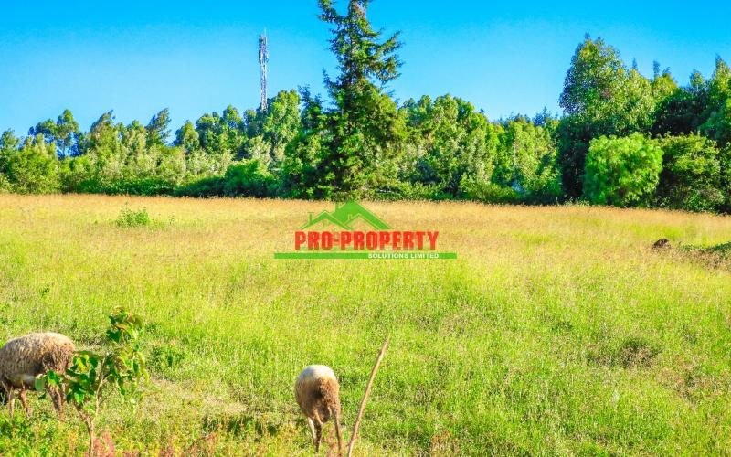 Prime Residential 1/4 Acre For Sale In Lusingetti