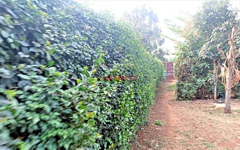 Residential 50 By 100ft For Sale In Kamangu, Migumo-ini