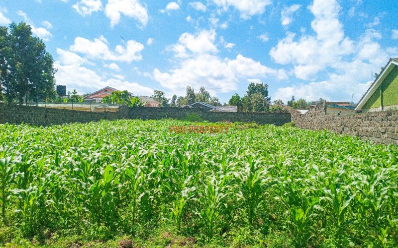 1/4 Acre Residential Plot For Sale In Olive Inn Estate, Nakuru, Kiamunyi.