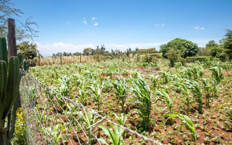 Prime Residential Plot For Sale In Kikuyu, Kamangu