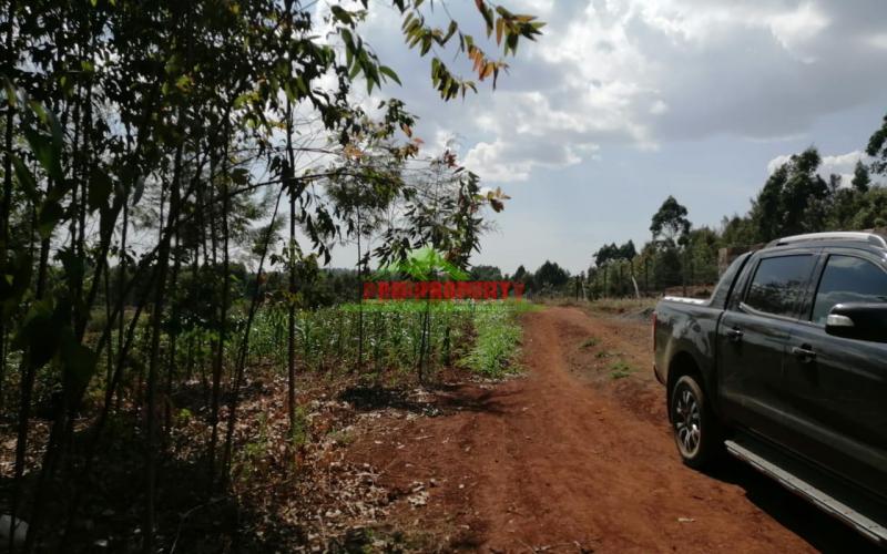 Prime Plot For Sale In Kikuyu, Kamangu.