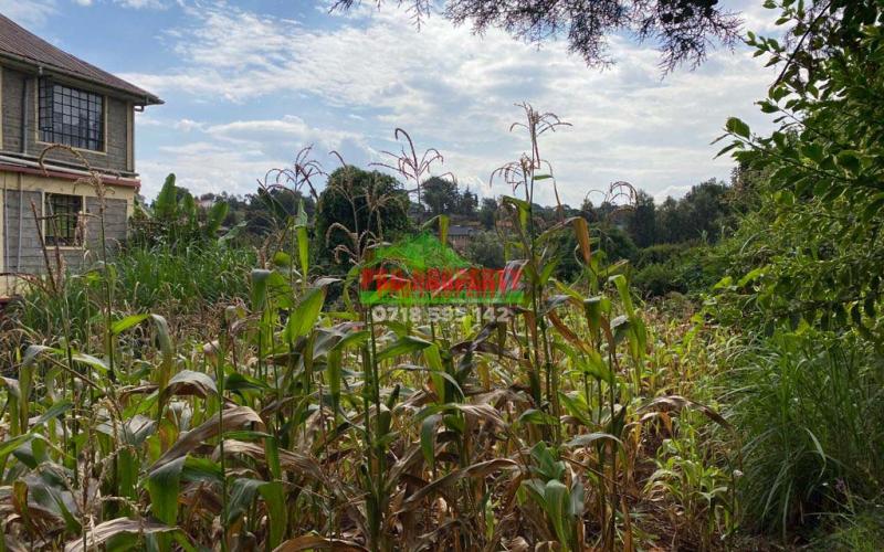 Commercial Plot For Sale In Kinoo Muthiga.