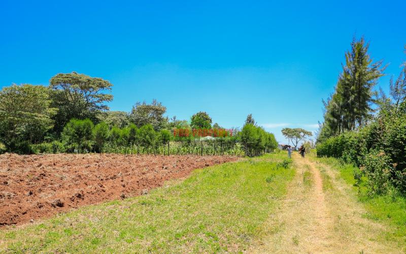 Prime Residential Plots For Sale In Kikuyu, Kamangu