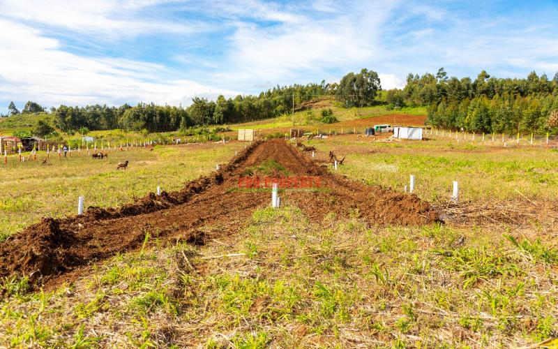 Residential Serviced Plots For Sale In Kikuyu, Nachu (gated Community Concept).