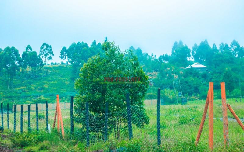 Prime Residential Plots For Sale In Kikuyu, Nachu