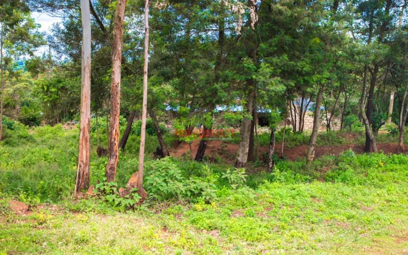 Prime Residential Plot For Sale In Kikuyu, Lusigetti