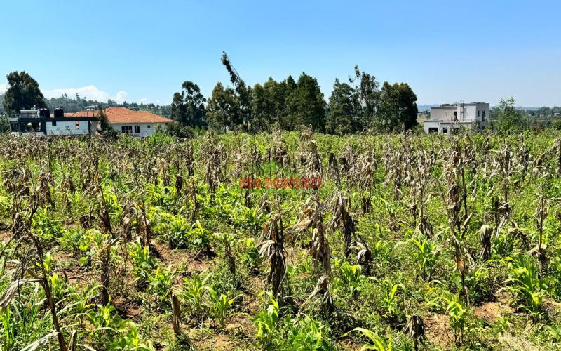 Prime Residential Plot For Sale In Kikuyu,kamangu