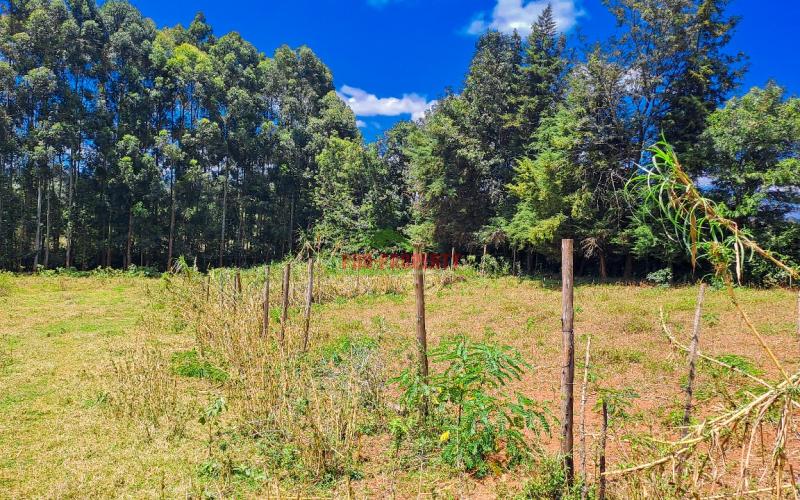 Prime Residential Plots For Sale In Kikuyu, Ondiri In A Gated Community Concept