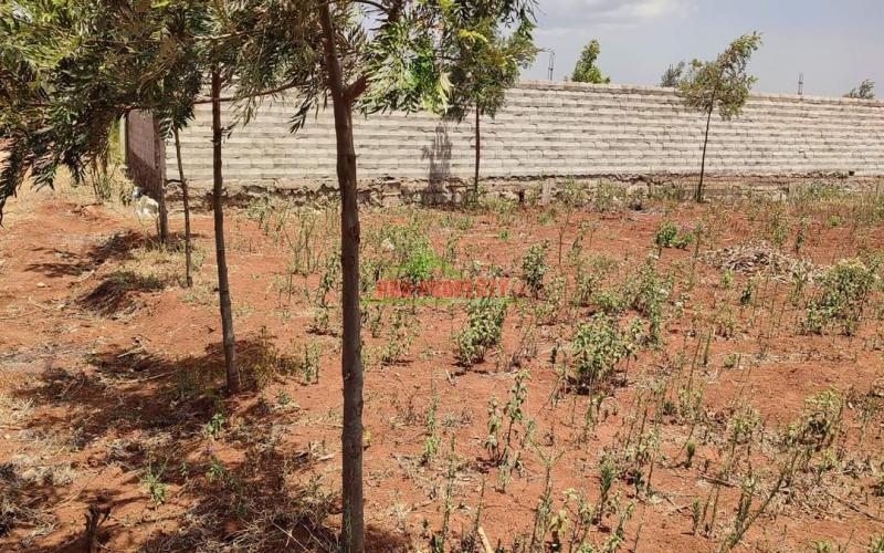 Prime 50 By 100ft Residential Plot For Sale In Kamangu @2.7m