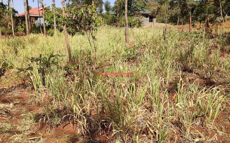 50 By 100ft Residential Plot For Sale In Ondiri, Kikuyu @2.5m