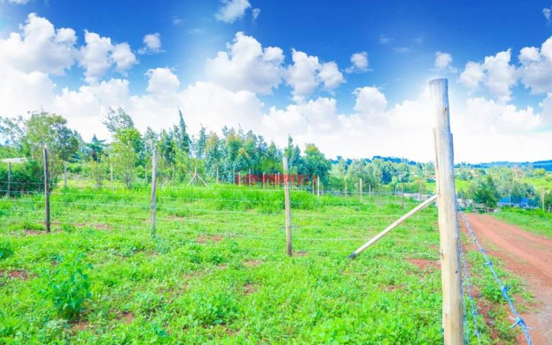 Prime 50*100 Ft Residential Plots For Sale In Kikuyu, Karai- Migumoini