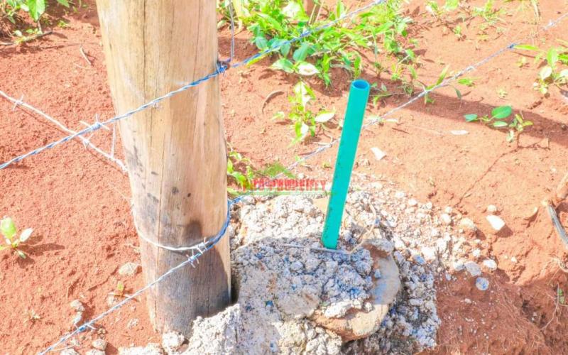 Prime 50*100 Ft Residential Plots For Sale In Kikuyu, Karai- Migumoini