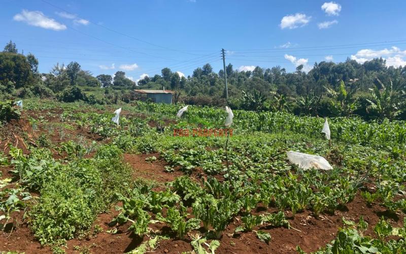 Residential Plot For Sale In Kikuyu, Ondiri.
