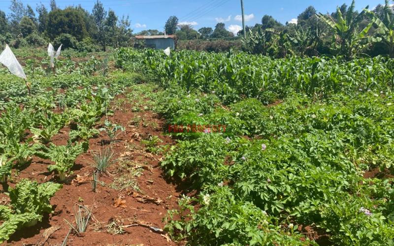 Residential Plot For Sale In Kikuyu, Ondiri.